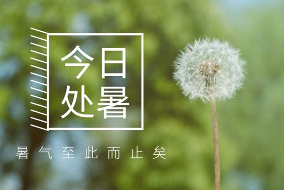 【衡陽通用電纜】處暑不是暑，秋涼知我意